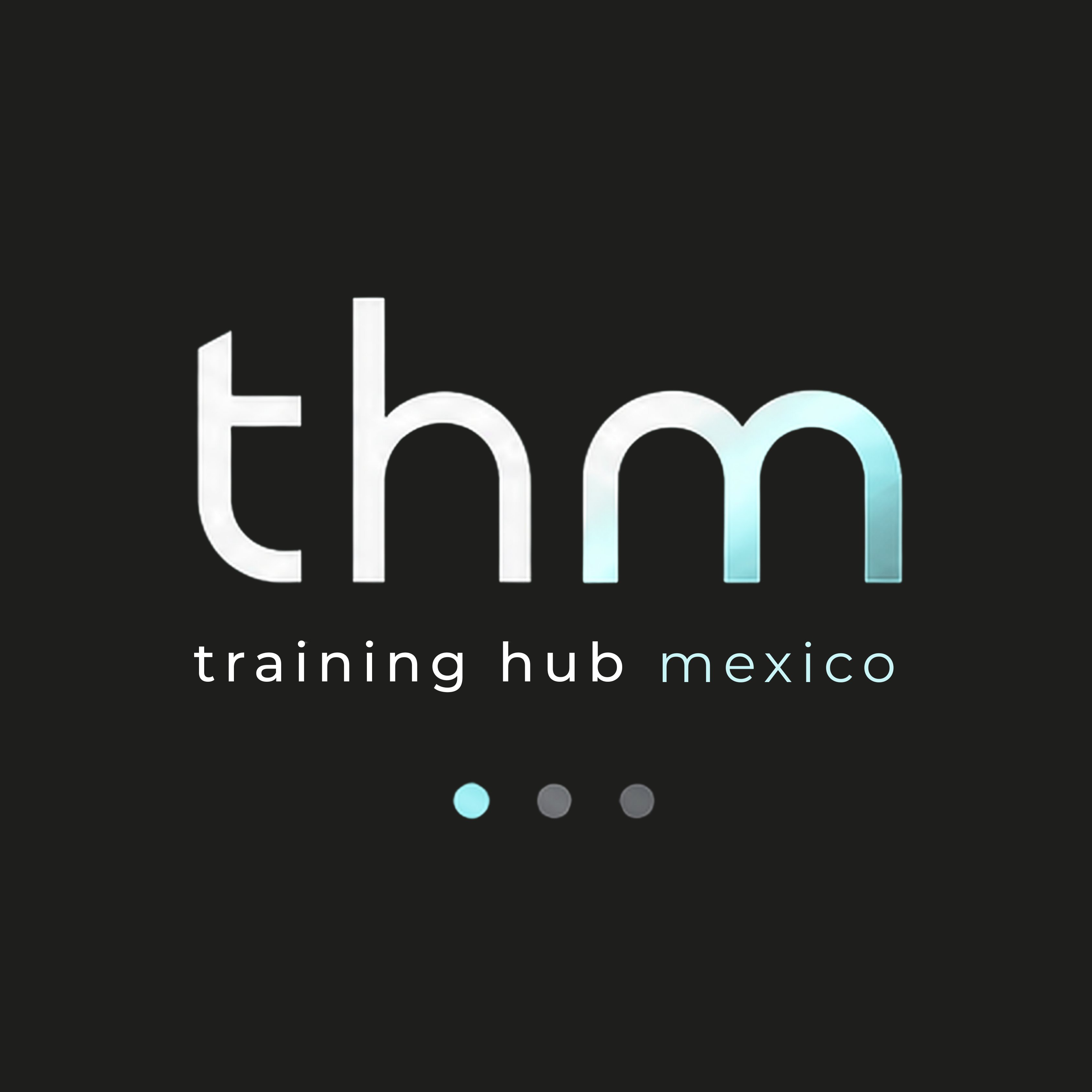 THM Training Hub México